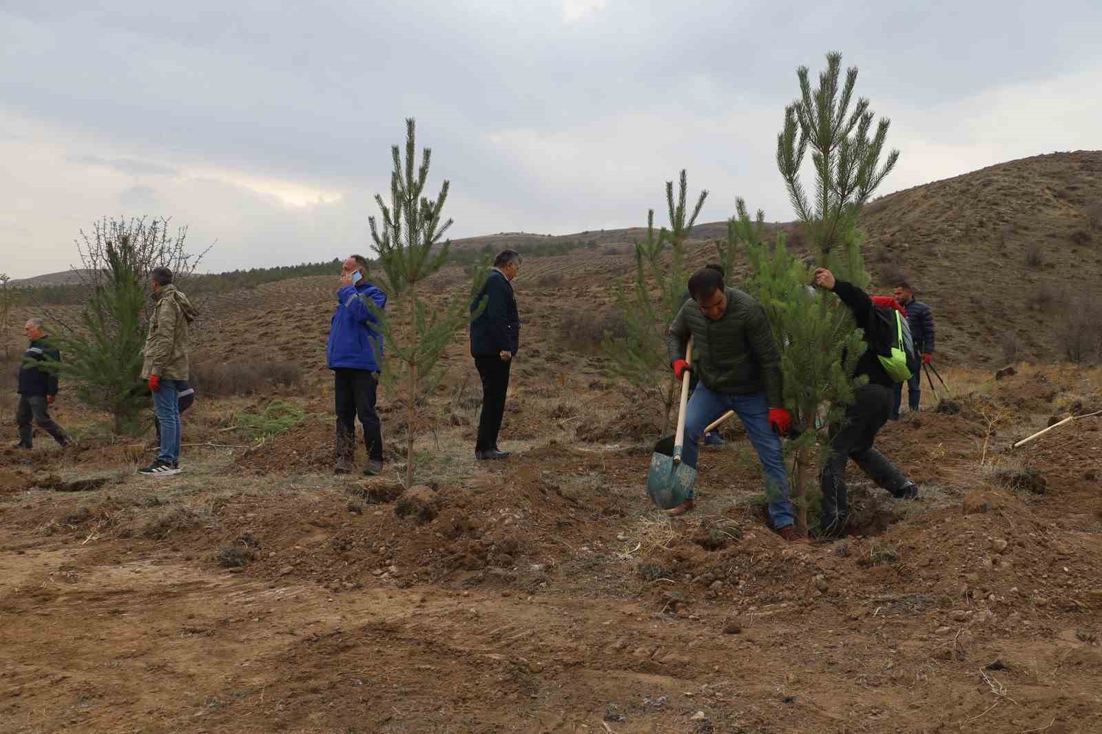 Sivas’ta 58 bin fidan toprakla buluşturuldu