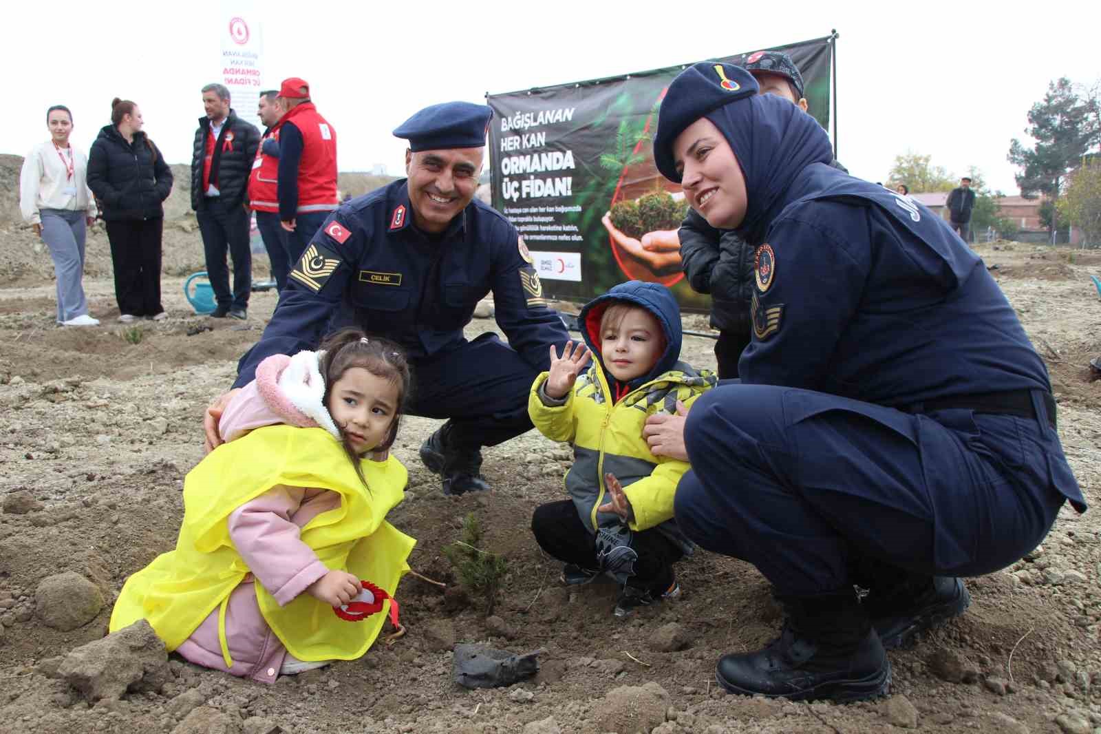 Amasya’da 4 binden fazla fidan toprakla buluştu