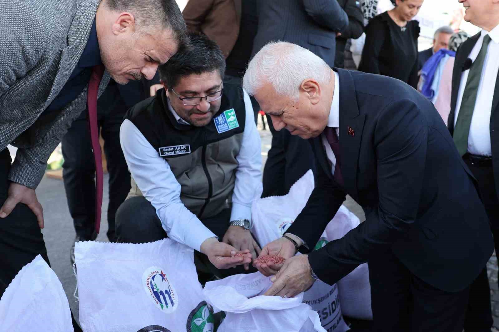 Bursalı çiftçinin yüzü gülüyor