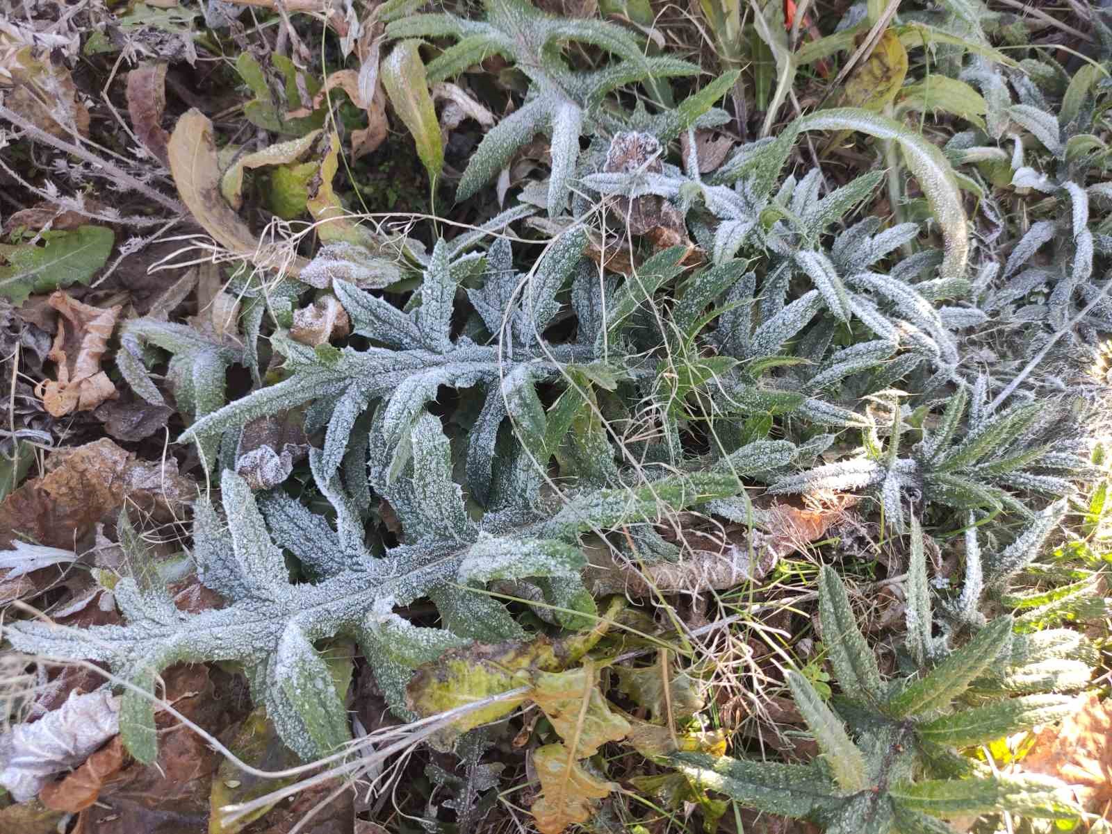 Ardahan’ın Göle ilçesi Türkiye’nin en soğuk yerleşim yeri oldu