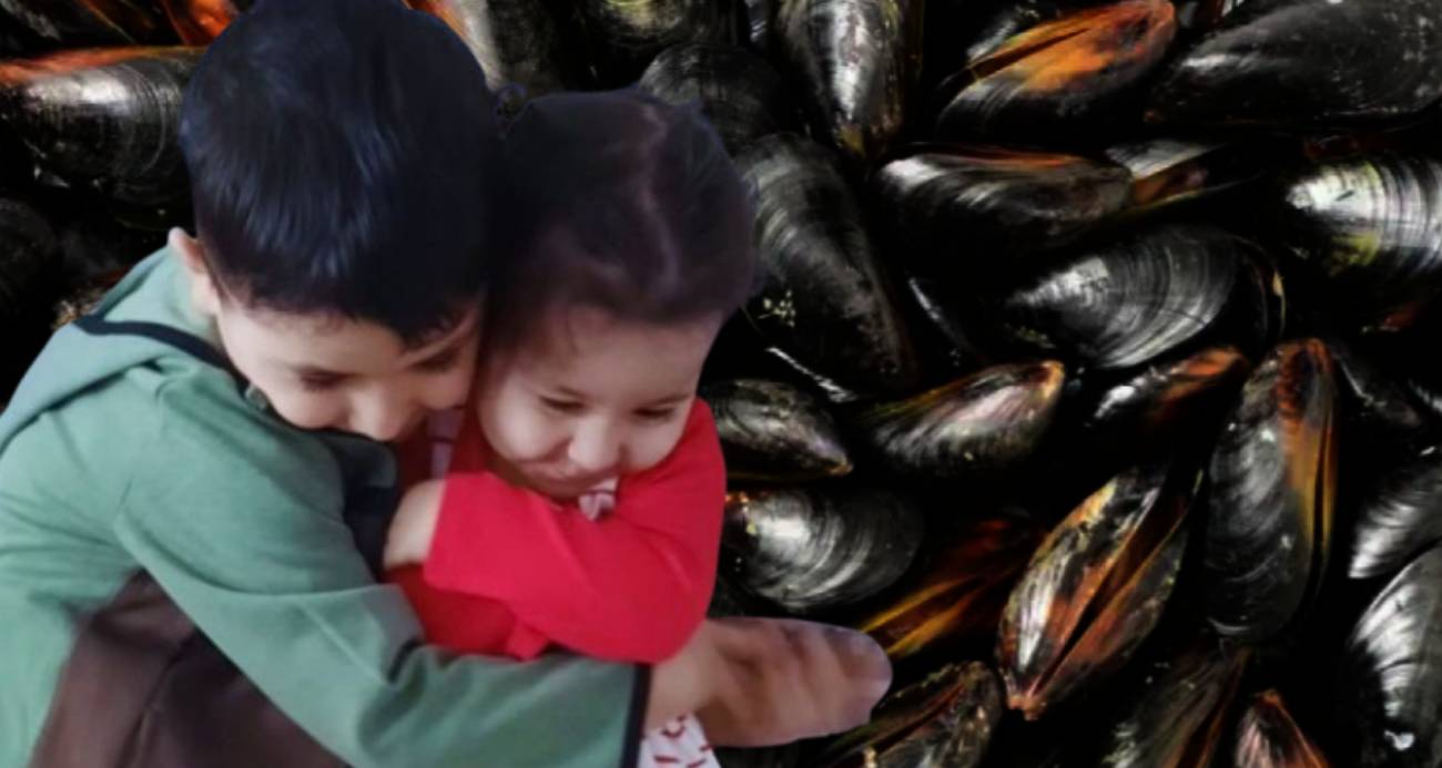 Almanya’dan İstanbul’a tatile gelen aile, seyyar satıcıdan yedikleri midyeden zehirlendi: 2 çocuk hayatını kaybetti