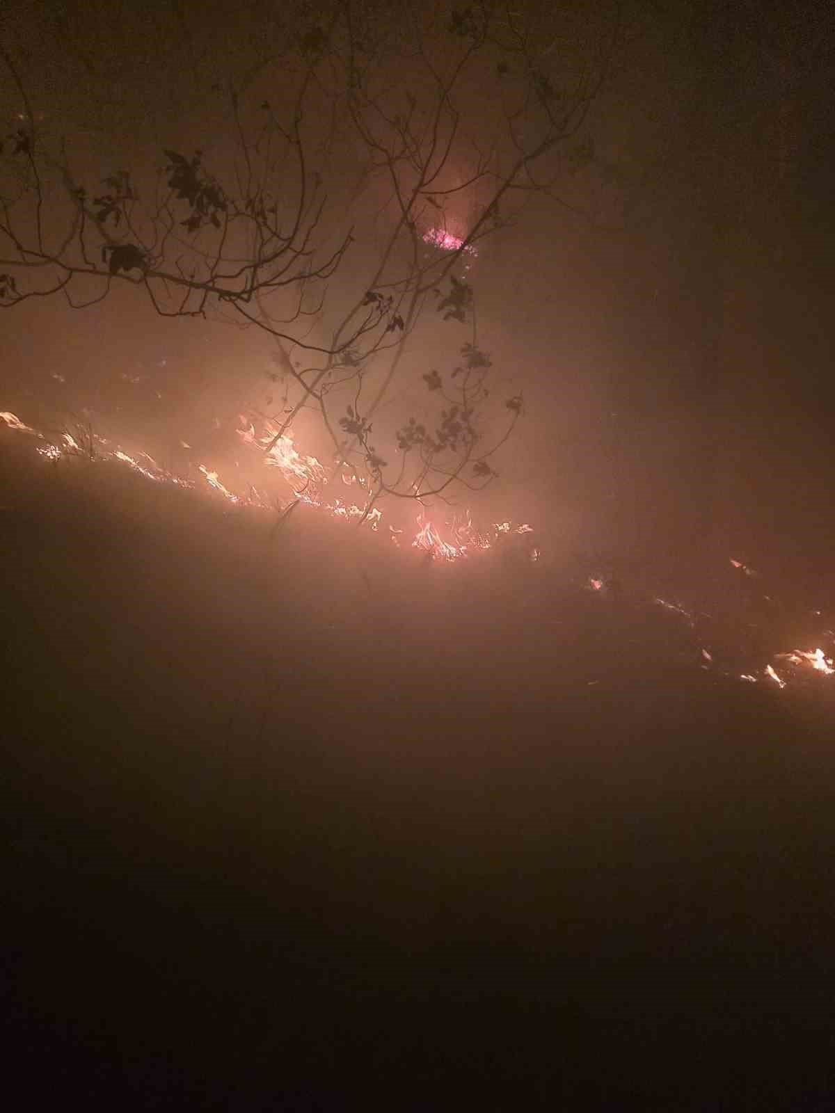 Hatay’da yıldırımın düştüğü ormanlık alanda yangın çıktı