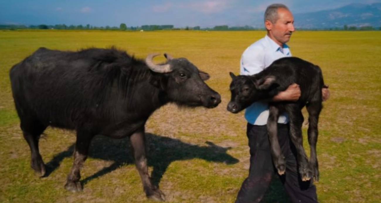 Tokatlı fırın ustasının Paris’teki ödül sevinci vize engeline takıldı