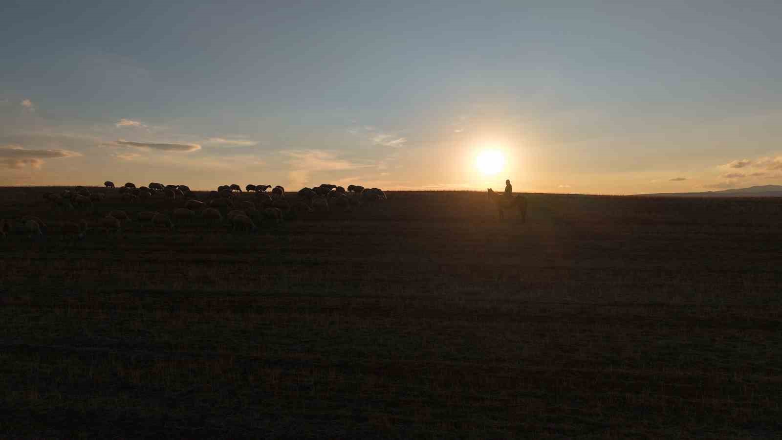 Medya dünyasından hayvancılığa: İstanbul stresini bırakıp köyde huzuru buldu