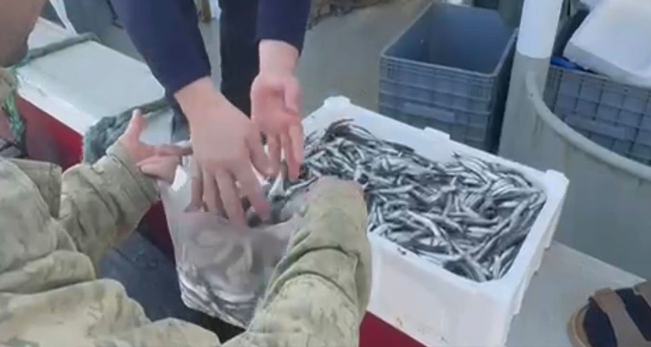 Kasasını 200 liraya alıp, tezgahta kilosunu 200 liraya satan esnaf, balıkçılar tarafından protesto e