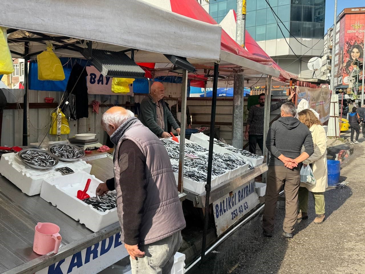 Zonguldak’ta hamsi azaldı, fiyatlar yeniden yükselişte