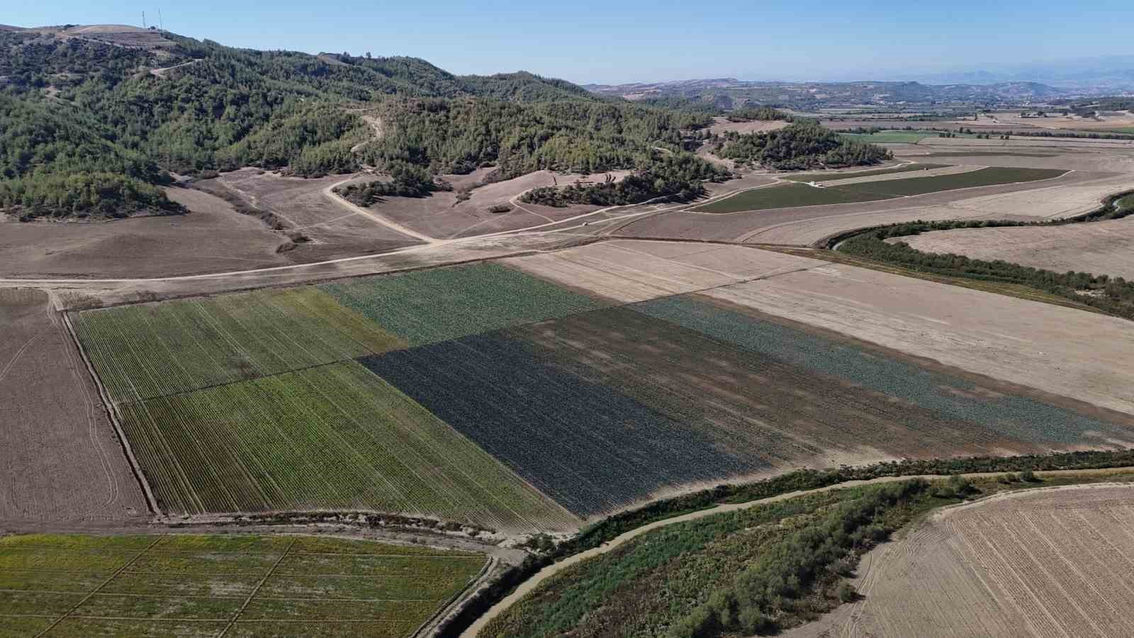 Kuraklığın vurduğu Seyhan Baraj Gölü’nün çevresi tarım arazisi oldu üretim başladı