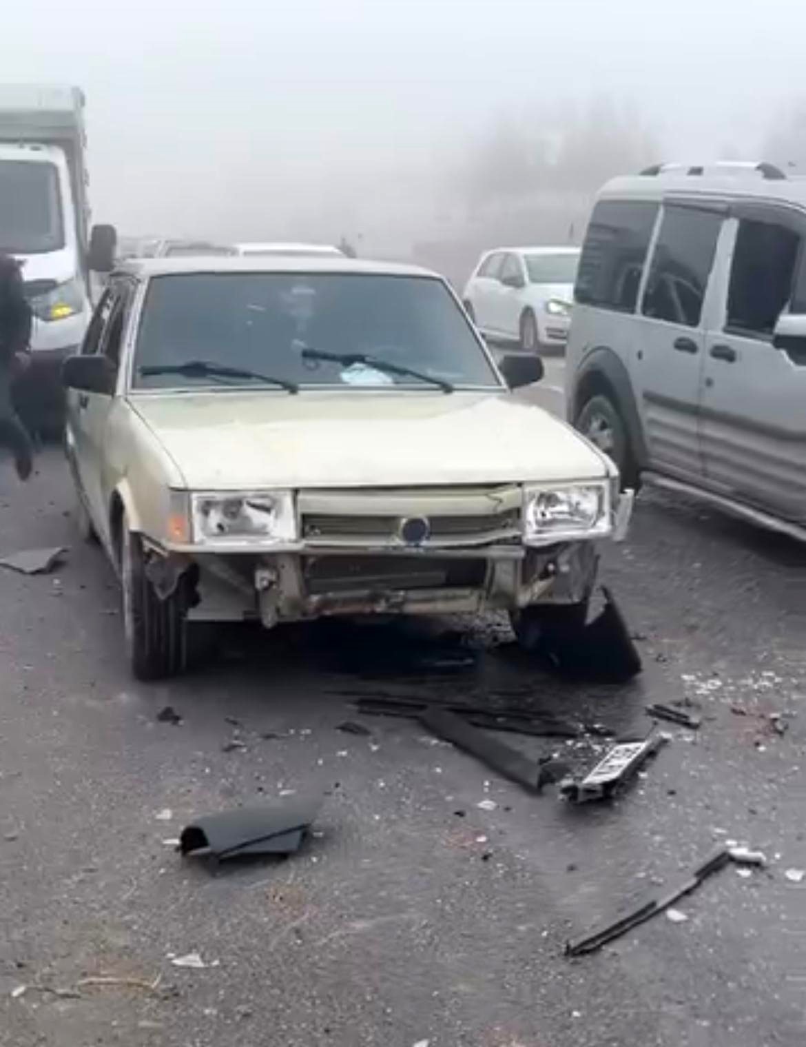 Siirt’te sis kazaya neden oldu: 3 koyun telef oldu