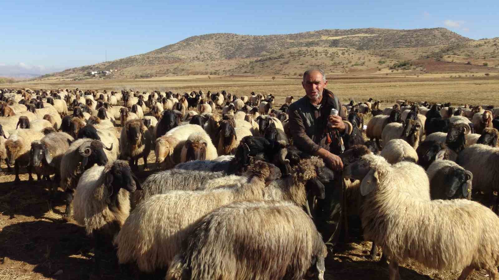 Gercüş’te göçerlerin zorlu yolculuğu