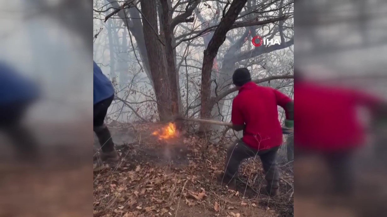 İran’dan orman yangınlarıyla mücadelede yardım talebi: Türkiye 2 uçak gönderiyor