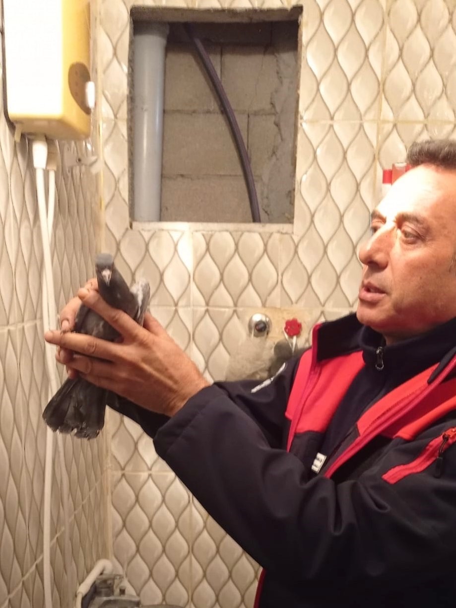 İskenderun’da itfaiye ekiplerinden güvercin kurtarma operasyonu