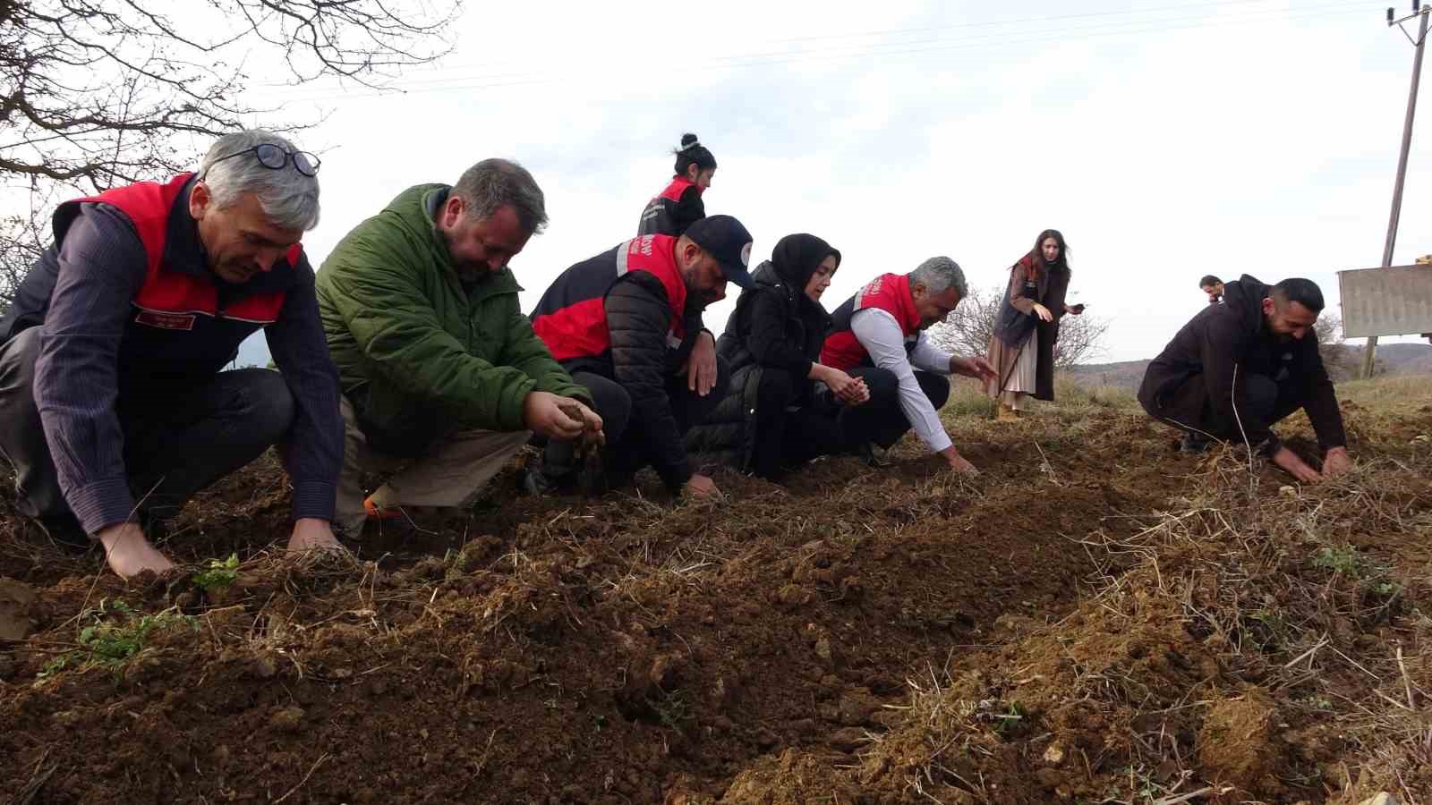 Kastamonu’da kadınlara güç veren proje: 38 bin fide dağıtımı yapıldı