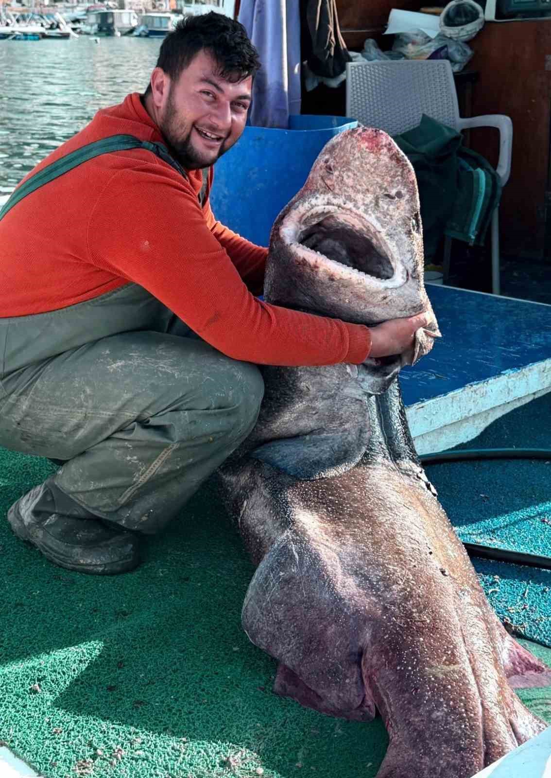 Yalova açıklarında 4 metre uzunluğunda köpek balığı ağa takıldı