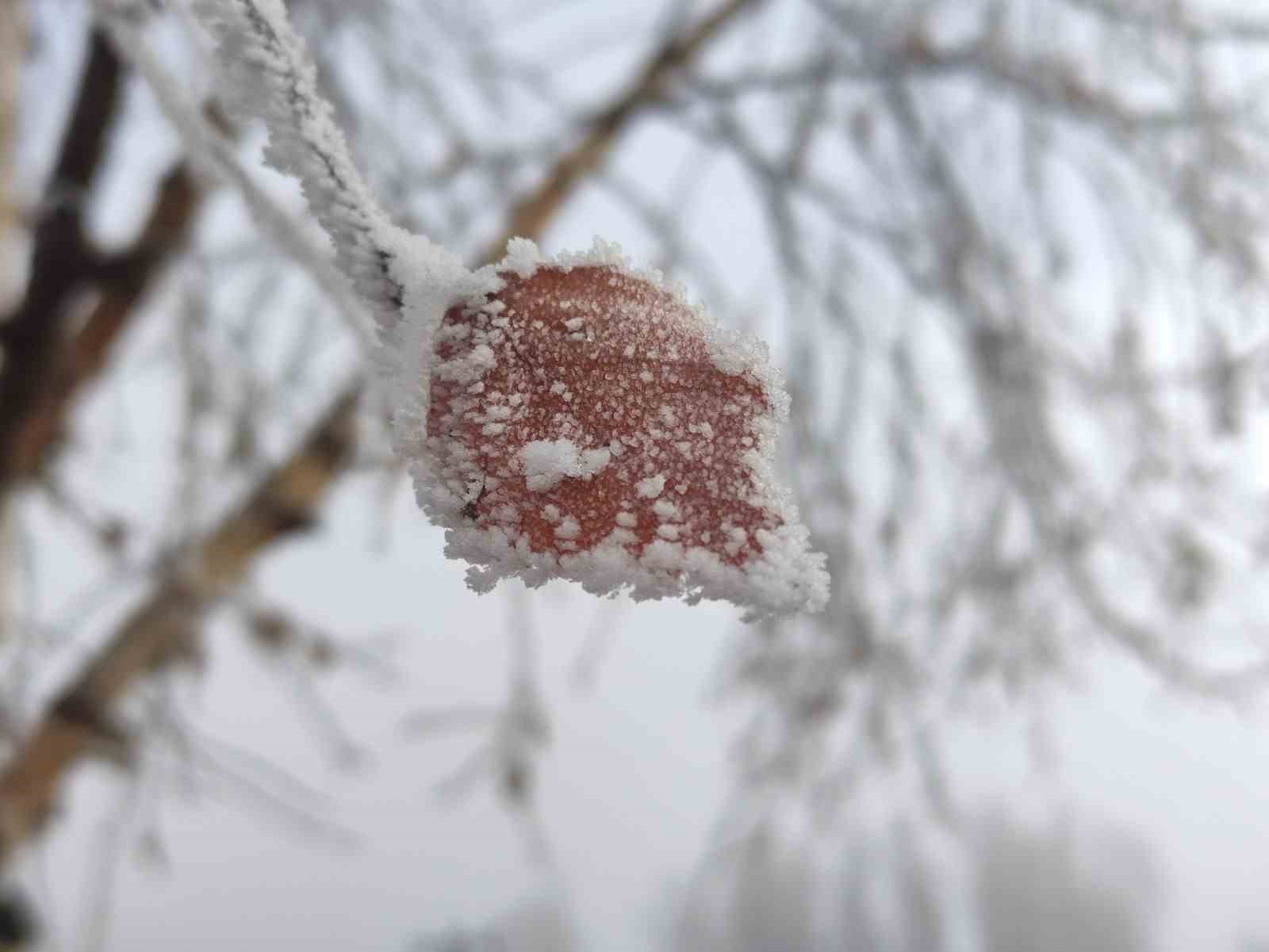 Hava sıcaklığının eksi 14,6 dereceye düştüğü Göle buz tuttu
