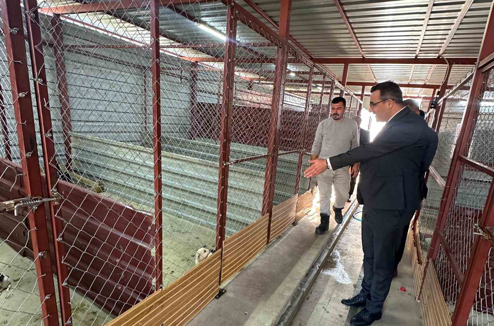 Sarıgöl’de hayvan bakım hizmetlerine yakın takip