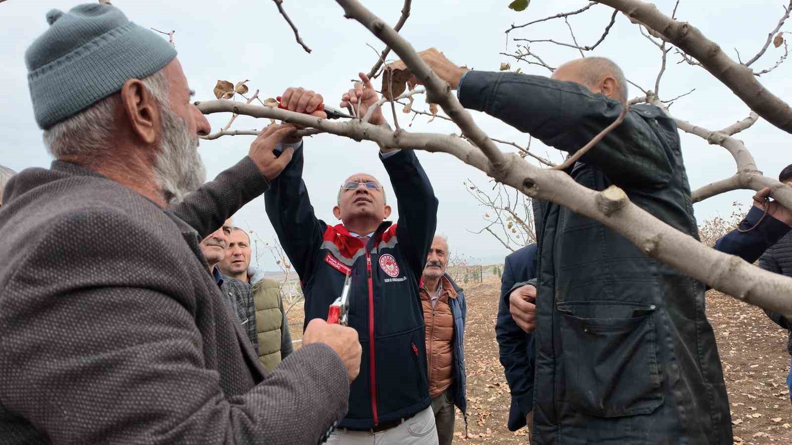 Siirt’te fıstık üreticilerine teorik ve pratik ‘budama’ ile ‘gübreleme’ eğitimi
