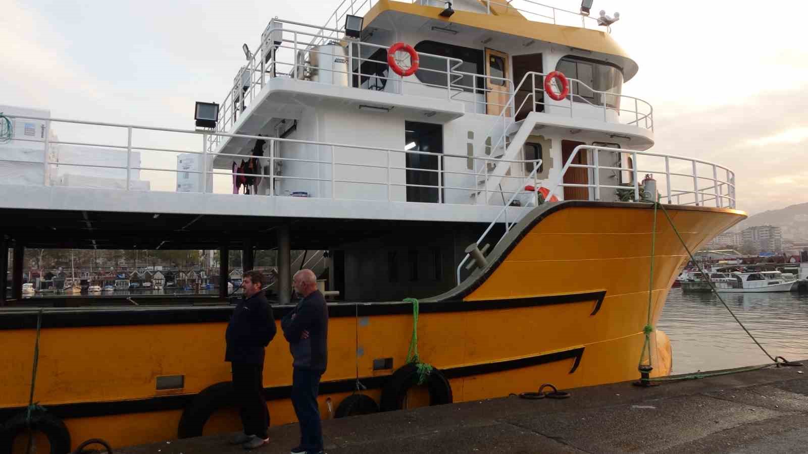 Karadeniz’den bu sezon adeta hamsi fışkırıyor