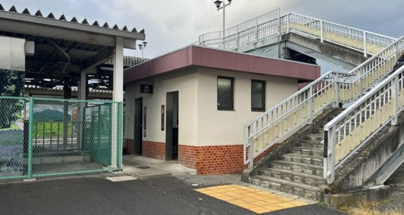 Japonya'da tren istasyonundaki umumi tuvalette ayı saldırısı