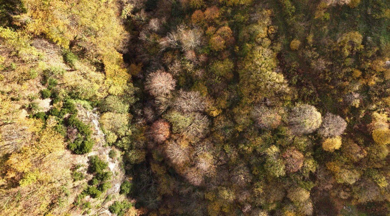 İstanbul’un yanı başında sonbahar rotası