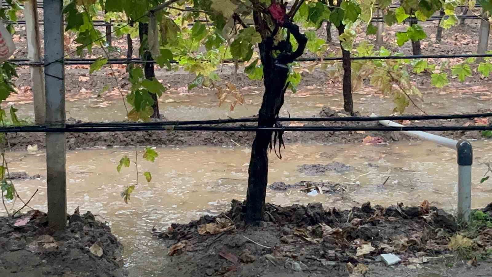 Sarıgöl’de özlenen yağışlar çiftçinin yüzünü güldürdü
