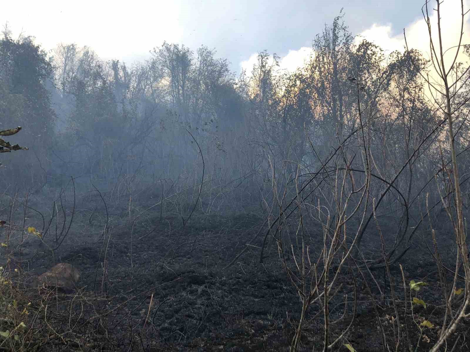 Artvin Hopa’da ziraat alanında çıkan yangın ormana sıçradı