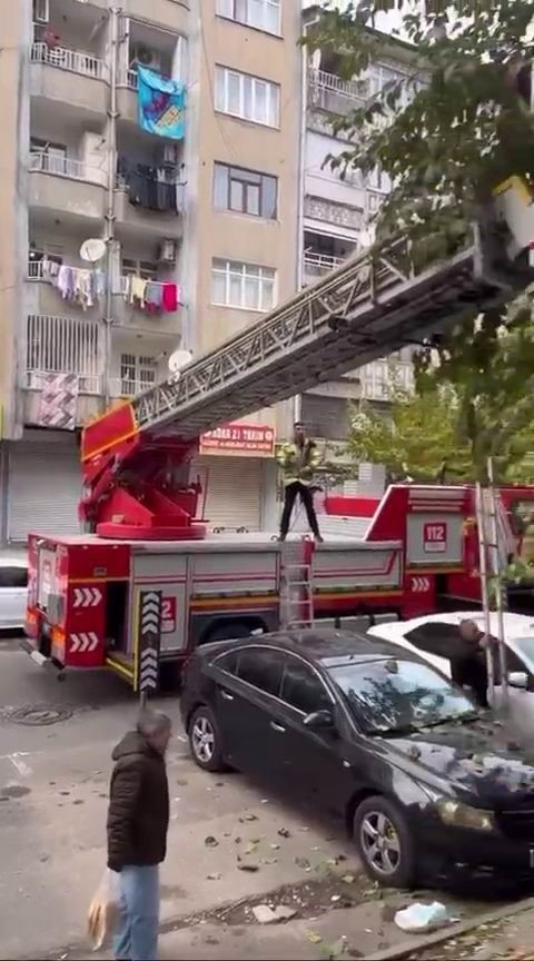 Ağaçta mahsur kalan kediyi kurtarmak için seferber oldular