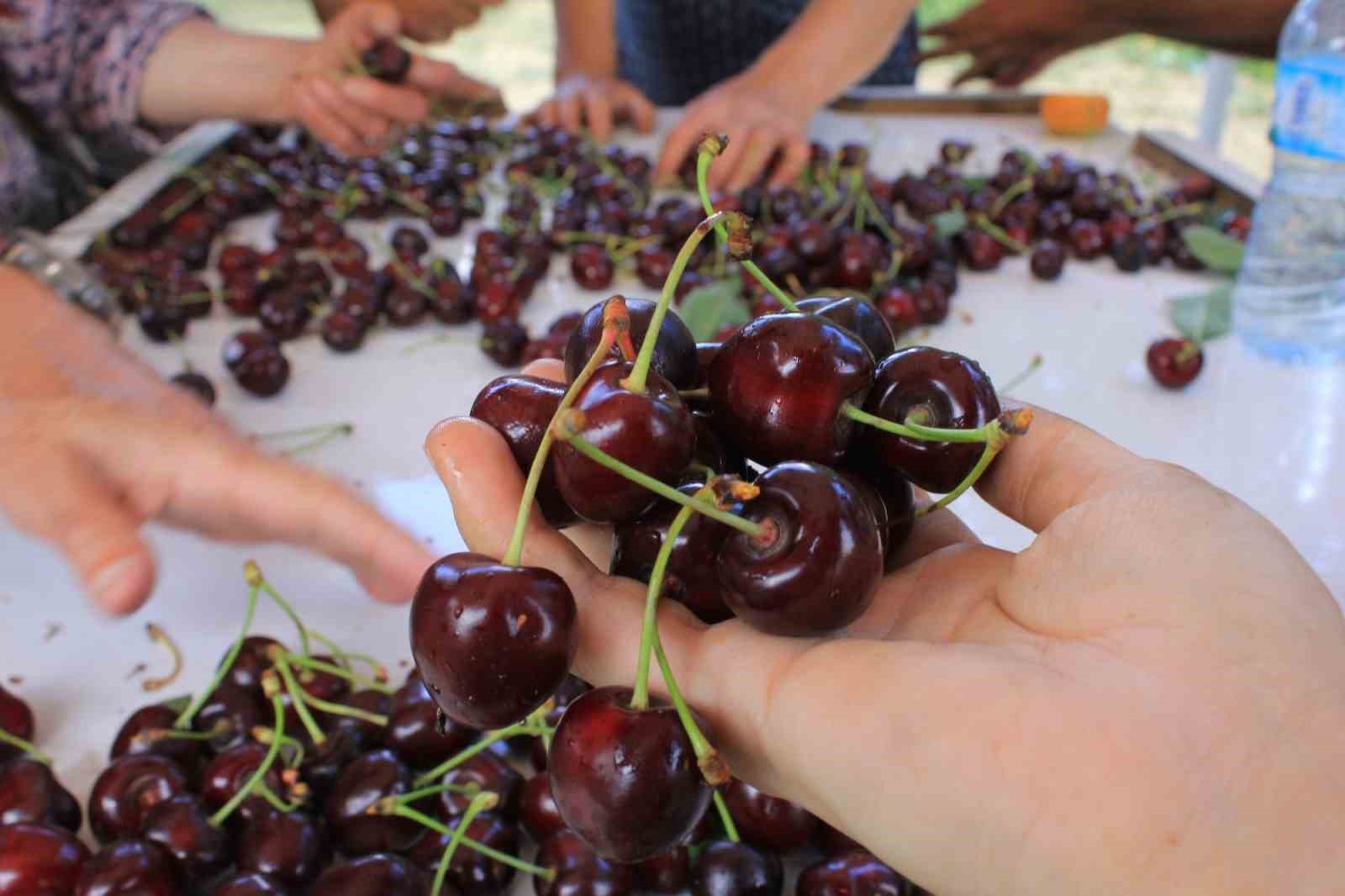 15 Aralık’ta okullarda 