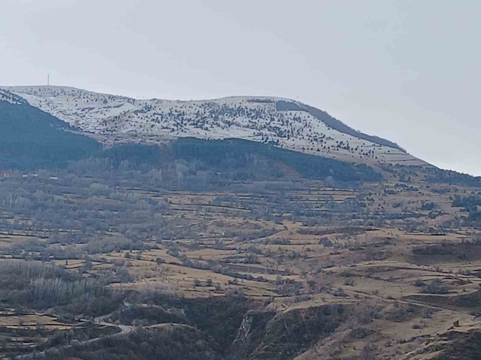 Posof kar yağışı sonrası beyaza büründü