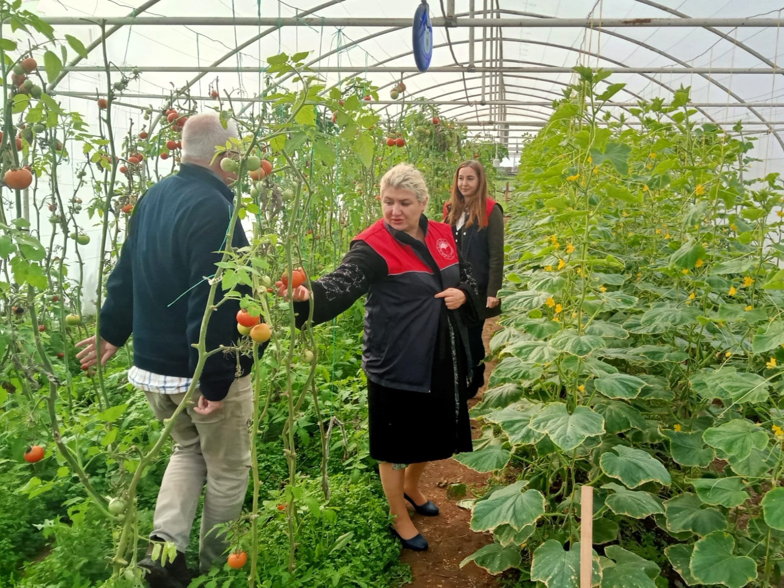 Kırklareli’nde sera kontrolleri