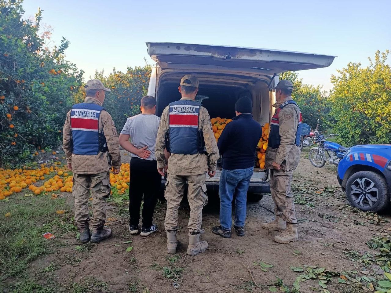 Portakal hırsızları suçüstü yakalandı