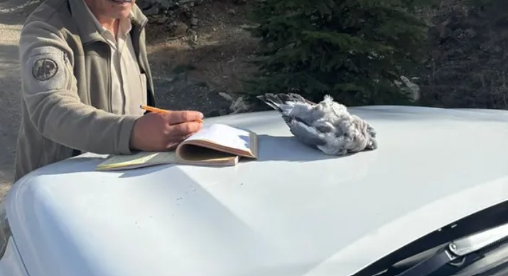 Burdur’da kaçak avcılar ekiplere yakalandı