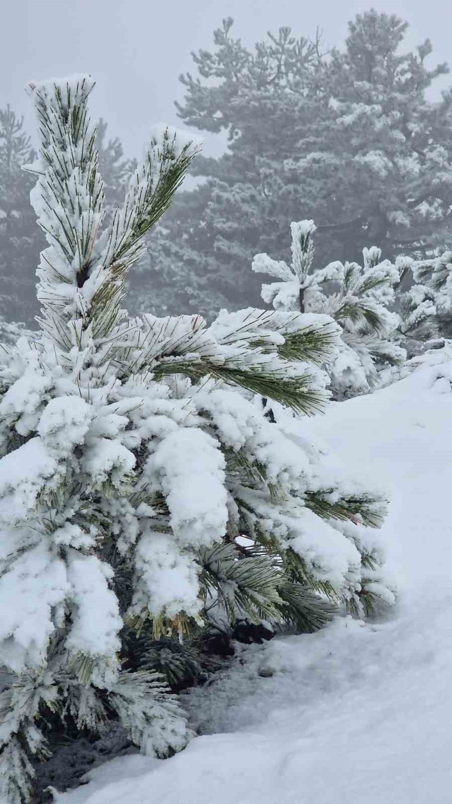 Muğla’ya mevsimin ilk karı yağdı