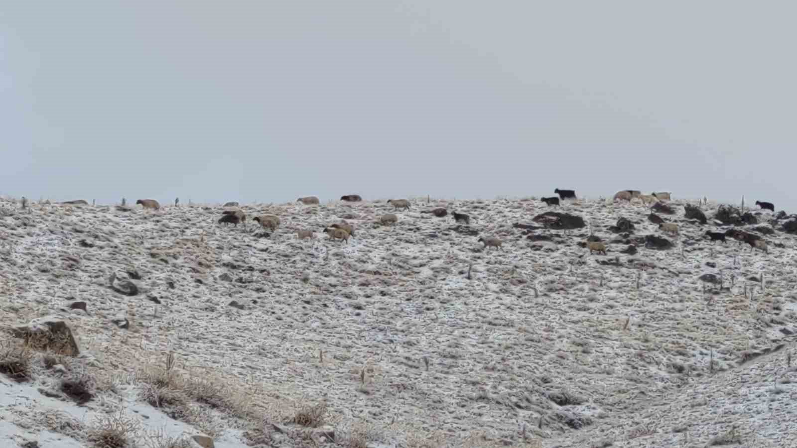 Van’da kış yüzünü gösterdi: Erek Dağı ve çevresi beyaza büründü