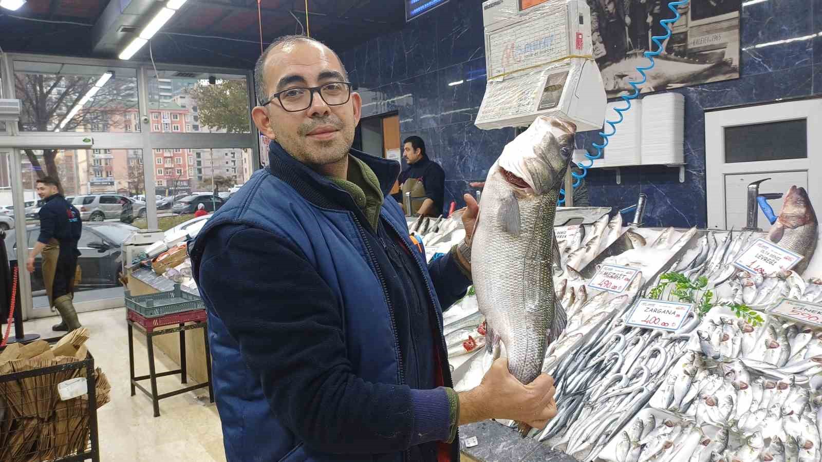 Tezgahlarda palamut yok, hamsi çok