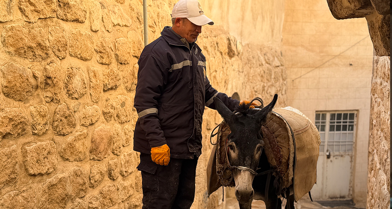 Mardin’de ’kadrolu’ eşekleri emekli edecek proje hayata geçiyor