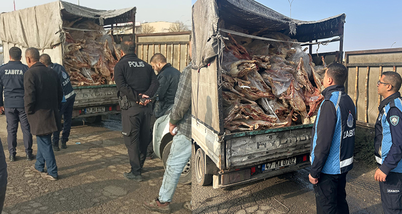 Gaziantep’te kamyonet kasasında kilolarca bozuk et ele geçirildi