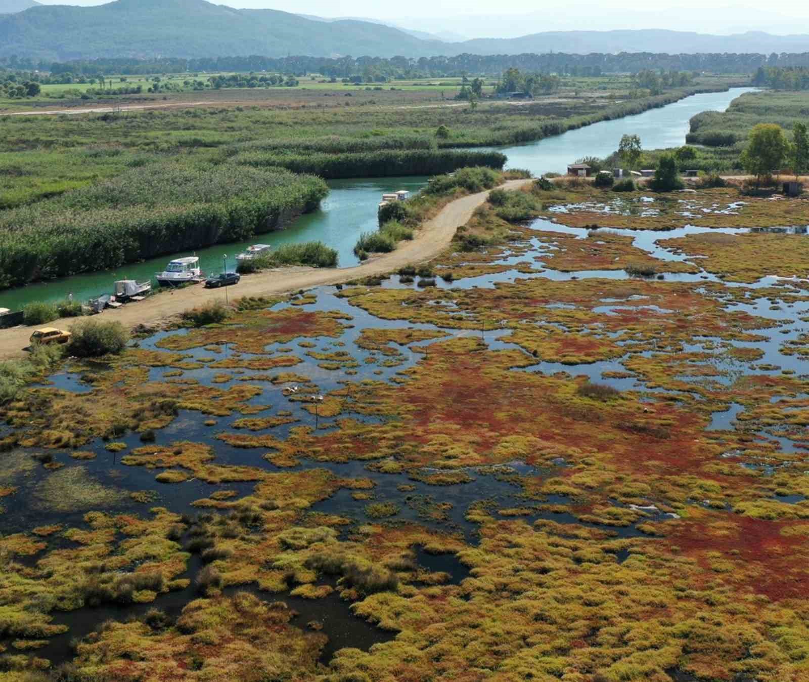 Gökçe Sulak alanı yeniden canlanıyor