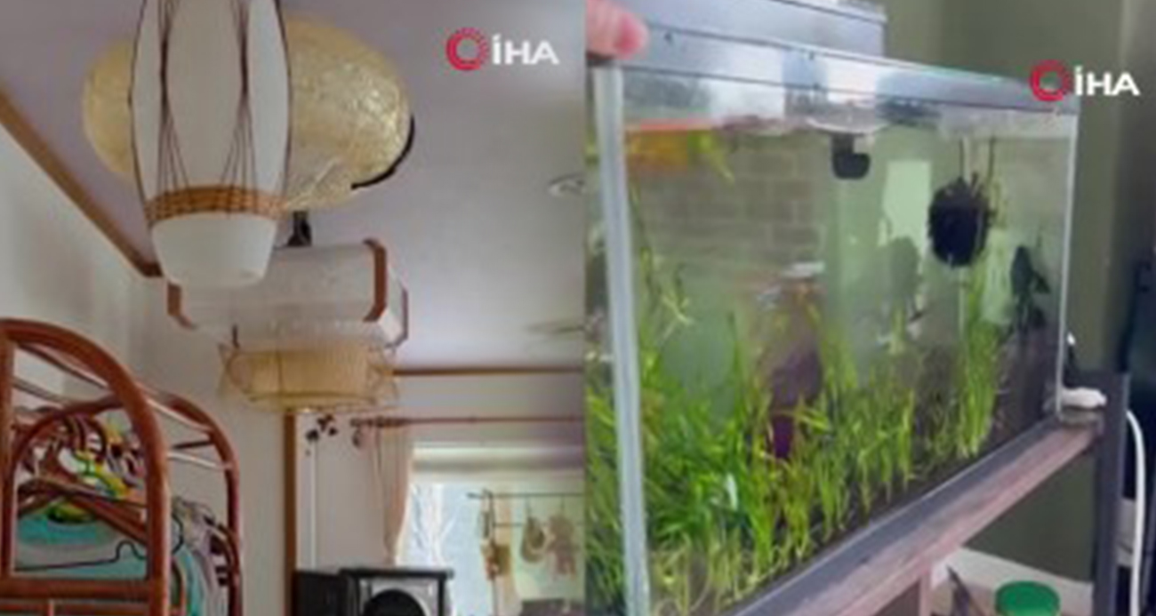 Japonya’da 6.7 büyüklüğünde deprem meydana geldi, tsunami uyarısı yapıldı