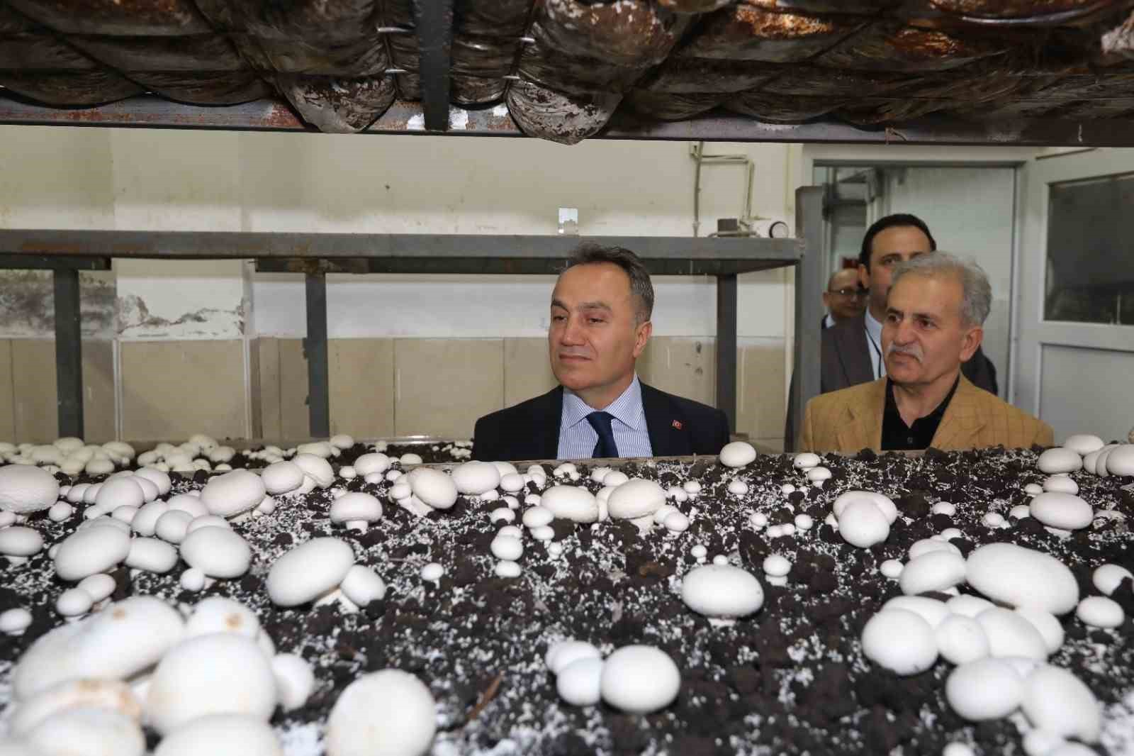 TOGÜ’de üretime dayalı eğitim modelleri güçleniyor