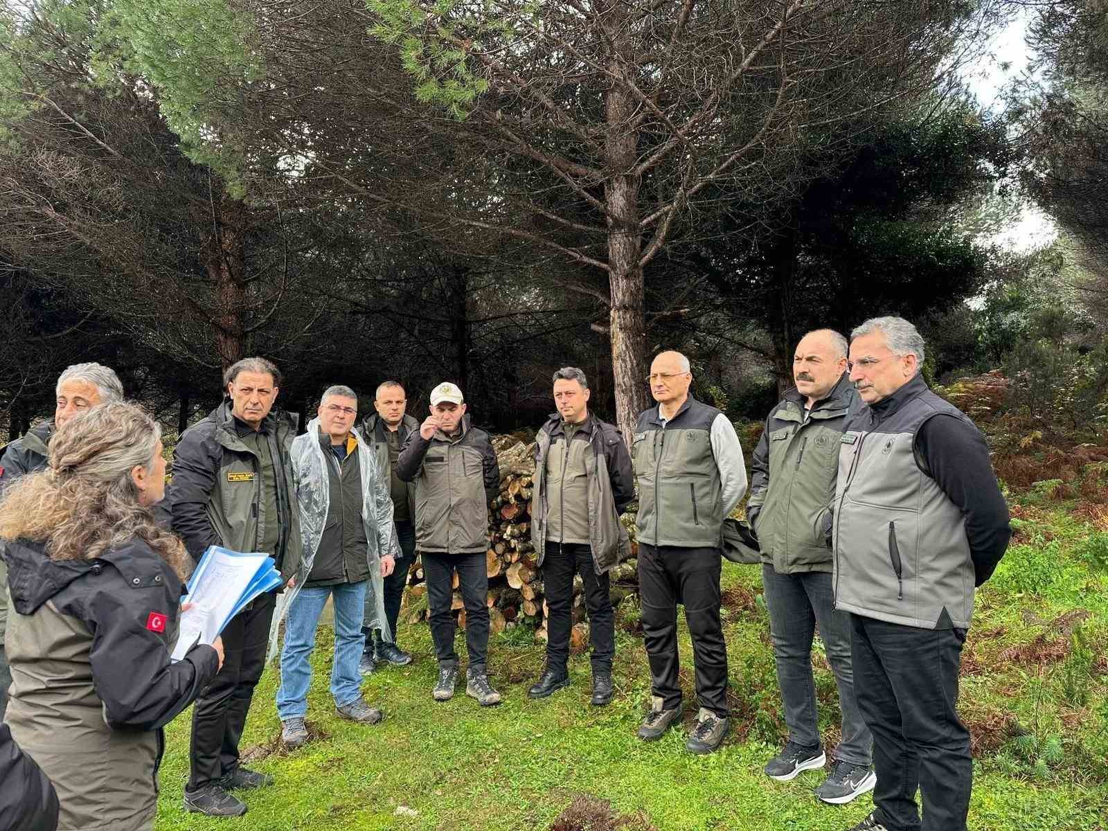 Sinop’ta ormancılık faaliyetleri