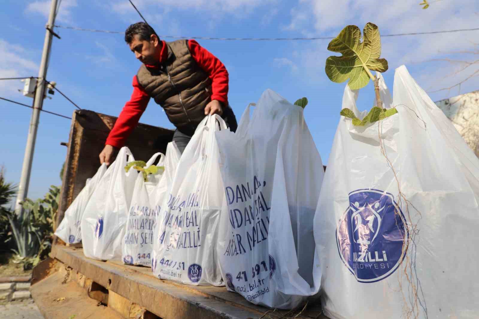 Nazilli Belediyesi’nin dağıttığı binlerce ağaç fidanı kısa sürede tükendi