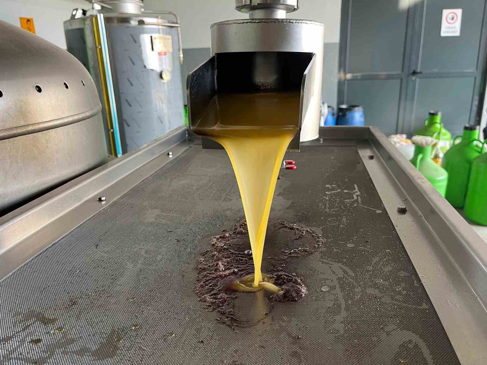 Kara meyve altın sıvıya dönüşüyor