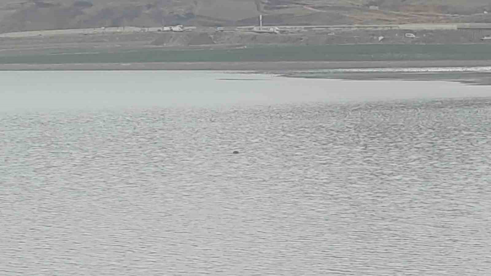 Sıhke Göleti’ne giren inek telef oldu