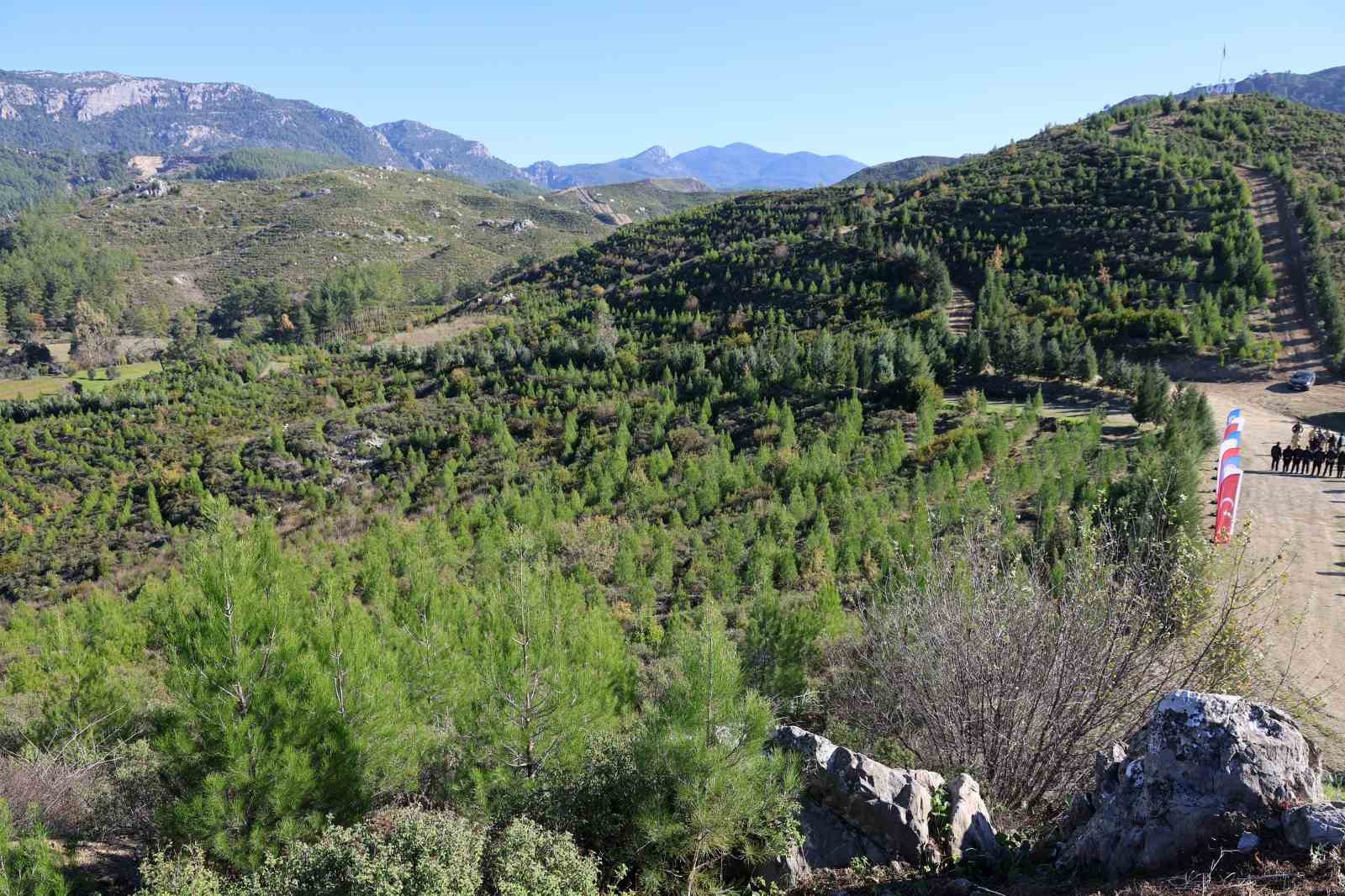 Kara tablo, 6 yılda yeşil örtüye dönüştü