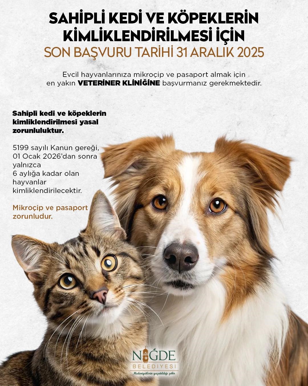 Niğde Belediyesi’nden kedi ve köpek sahiplerine uyarı: Son başvuru 31 Aralık 2025