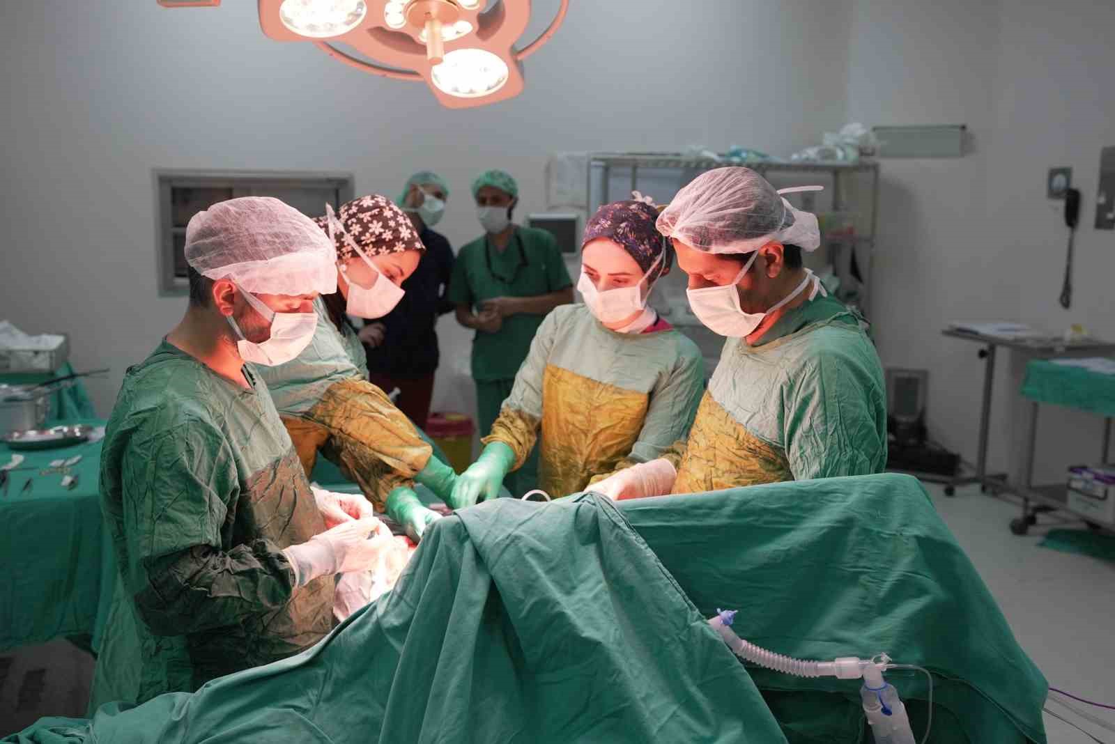 2 kilogramı aşan dev tümör başarıyla çıkarıldı