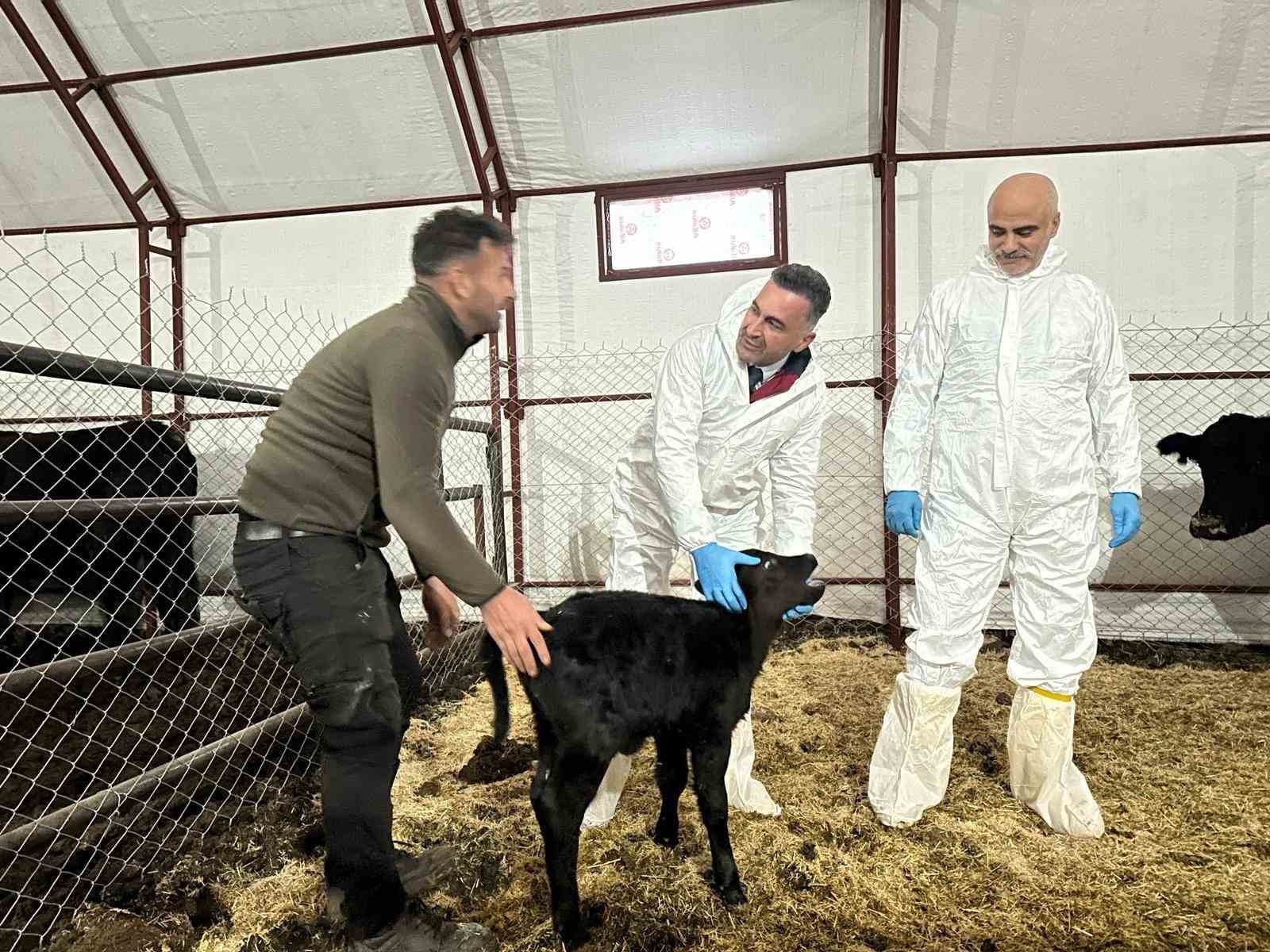 Pertek’te kırsala bereket: Genç veterinere hayvancılık desteği