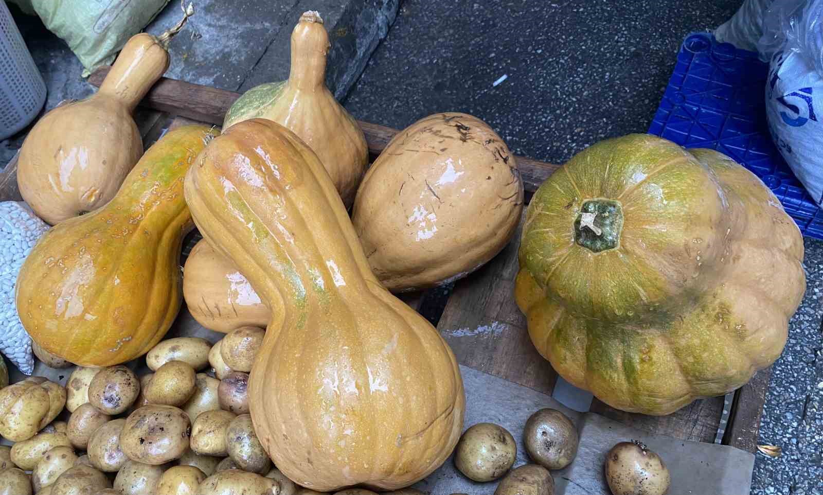 Kendisi ayrı, çekirdeği ayrı şifa kaynağı