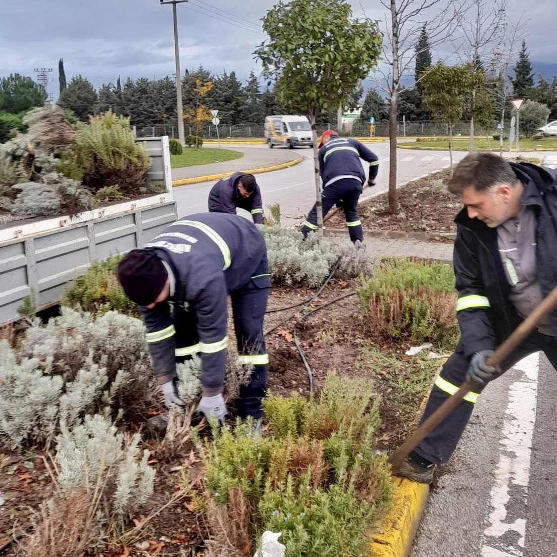 Körfez’de yeşil alanlar çiçeklerle süsleniyor