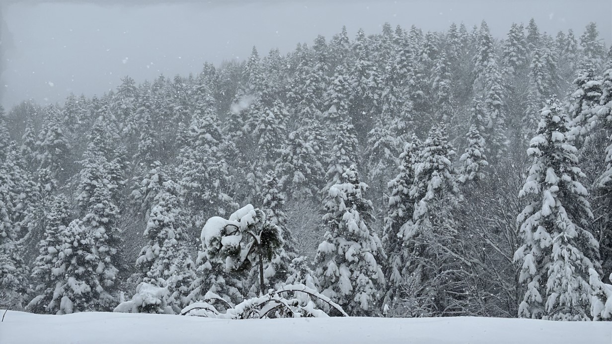 Sibirya soğukları kapıya dayandı: Bazı illerde kar yağışları başladı